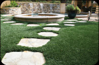 Artificial Grass