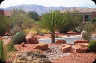 Desert Landscaping