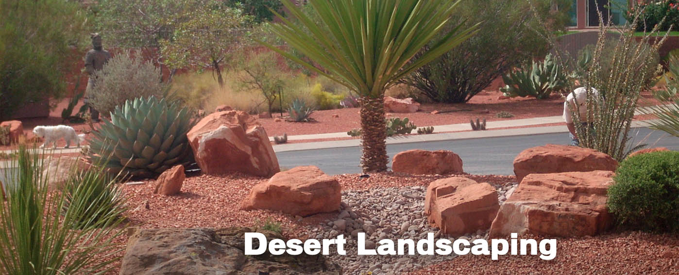 Desert Landscaping