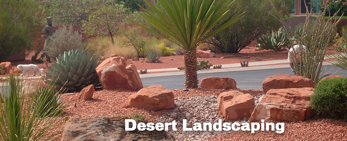 Desert Landscaping